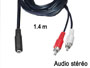 Cable raccord audio 2 RCA male vers jack 3.5mm femelle stéréo L=1,4m
