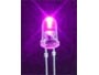 LED Rose 5mm 3000mcd