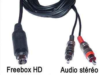 fbx2audhq Cordon cable audio stéréo blindé mini din 9 broches pour Freebox HD vers 2 rca male L=1,7m fiches rca métal