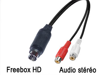 fbx2rcaf Cordon cable adaptateur audio stéréo blindé mini din 9 broches pour Freebox HD vers 2 RCA femelles L=10cm